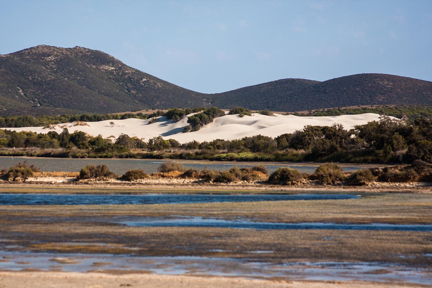 Sardegna