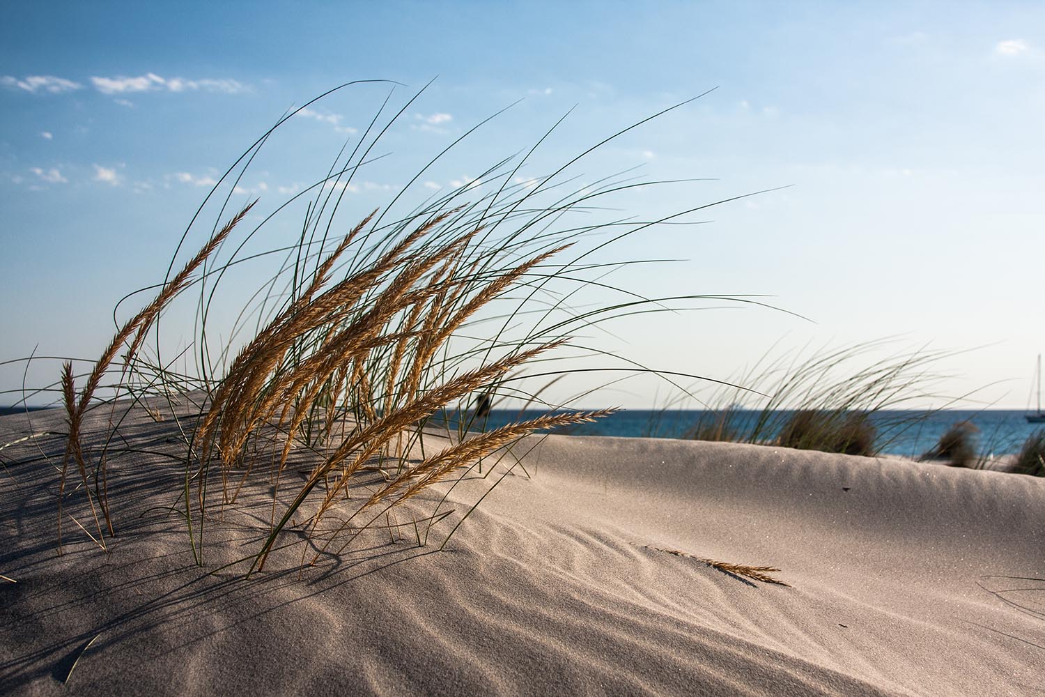 Sardegna