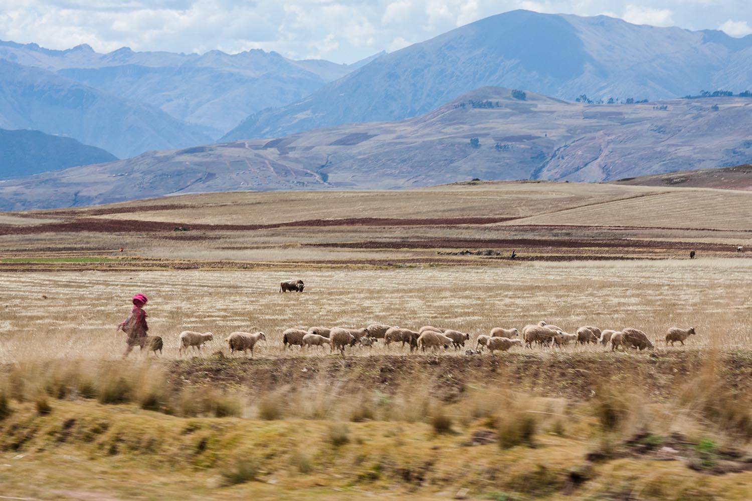 peru