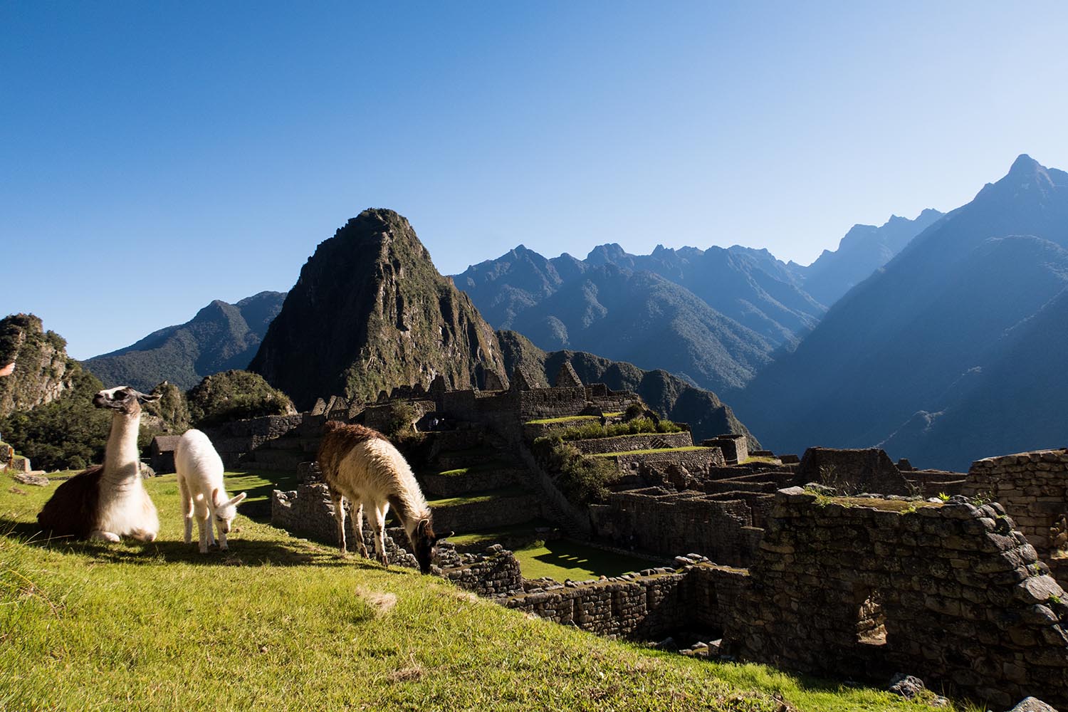 peru